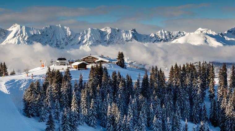Alpi